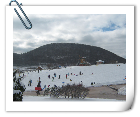 1588171442975534.jpg 1.jpg